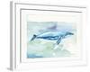 Sea Life VI-Lisa Audit-Framed Art Print