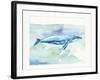 Sea Life VI-Lisa Audit-Framed Art Print