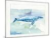 Sea Life VI-Lisa Audit-Mounted Art Print