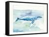 Sea Life VI-Lisa Audit-Framed Stretched Canvas