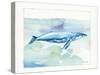 Sea Life VI-Lisa Audit-Stretched Canvas