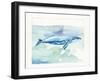 Sea Life VI-Lisa Audit-Framed Art Print