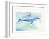 Sea Life VI-Lisa Audit-Framed Art Print