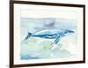 Sea Life VI-Lisa Audit-Framed Art Print