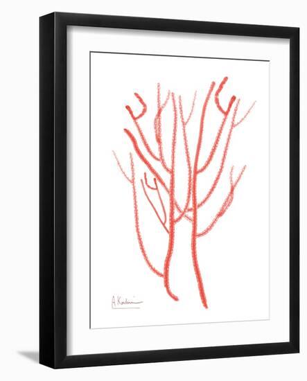 Sea Life-Albert Koetsier-Framed Art Print