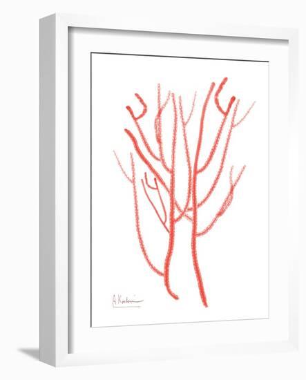 Sea Life-Albert Koetsier-Framed Art Print