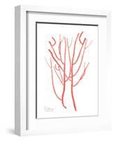 Sea Life-Albert Koetsier-Framed Art Print