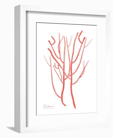 Sea Life-Albert Koetsier-Framed Art Print