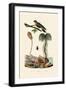 Sea Lily, 1833-39-null-Framed Giclee Print