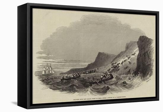 Sea-Lion Hunt Off Callao, Coast of Peru-null-Framed Stretched Canvas