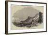 Sea-Lion Hunt Off Callao, Coast of Peru-null-Framed Giclee Print