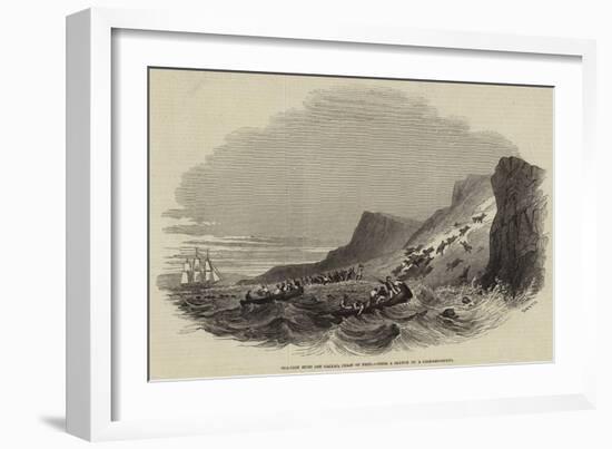 Sea-Lion Hunt Off Callao, Coast of Peru-null-Framed Giclee Print