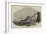 Sea-Lion Hunt Off Callao, Coast of Peru-null-Framed Giclee Print