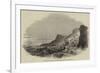 Sea-Lion Hunt Off Callao, Coast of Peru-null-Framed Giclee Print