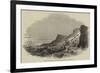 Sea-Lion Hunt Off Callao, Coast of Peru-null-Framed Giclee Print