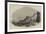 Sea-Lion Hunt Off Callao, Coast of Peru-null-Framed Giclee Print