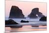 Sea Lion Rock from Indian Beach at sunset, Ecola State Park, Oregon-Adam Jones-Mounted Photographic Print