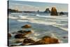 Sea Lion Rock from Indian Beach at sunset, Ecola State Park, Oregon-Adam Jones-Stretched Canvas