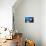 Sea Lion Swimming Underwater in Tidal Lagoon in the Galapagos Islands-Longjourneys-Photographic Print displayed on a wall