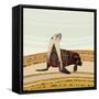Sea Lion-Sharon Turner-Framed Stretched Canvas
