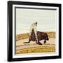 Sea Lion-Sharon Turner-Framed Art Print