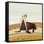 Sea Lion-Sharon Turner-Framed Stretched Canvas