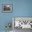 Sea Lion-Leah Saulnier-Framed Giclee Print displayed on a wall