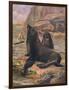 Sea Lions 1909-Cuthbert Swan-Framed Art Print