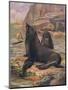 Sea Lions 1909-Cuthbert Swan-Mounted Art Print