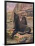 Sea Lions 1909-Cuthbert Swan-Framed Premium Giclee Print