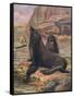 Sea Lions 1909-Cuthbert Swan-Framed Stretched Canvas