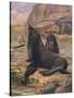 Sea Lions 1909-Cuthbert Swan-Stretched Canvas