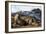 Sea lions, La Jolla, San Diego, California, United States of America, North America-Richard Cummins-Framed Photographic Print