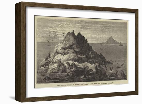 Sea Lions, Near San Francisco-null-Framed Giclee Print