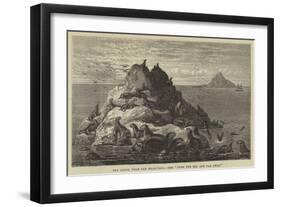 Sea Lions, Near San Francisco-null-Framed Giclee Print