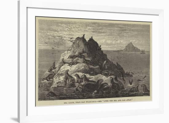 Sea Lions, Near San Francisco-null-Framed Giclee Print