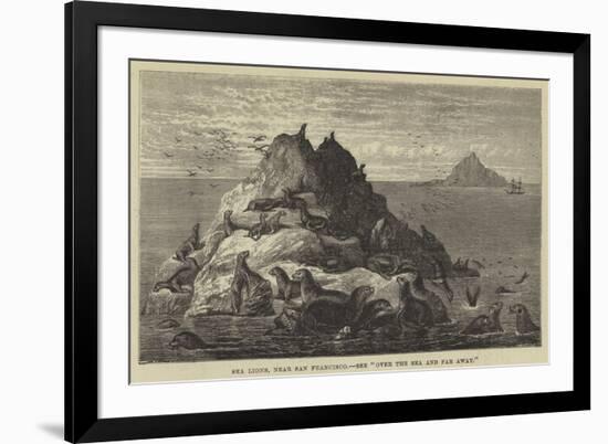 Sea Lions, Near San Francisco-null-Framed Giclee Print