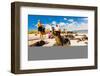 Sea lions on Floreana Island, Galapagos Islands, Ecuador, South America-Laura Grier-Framed Premium Photographic Print