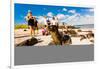 Sea lions on Floreana Island, Galapagos Islands, Ecuador, South America-Laura Grier-Framed Photographic Print