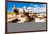 Sea lions on Floreana Island, Galapagos Islands, Ecuador, South America-Laura Grier-Framed Photographic Print