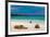 Sea lions on Floreana Island, Galapagos Islands, UNESCO World Heritage Site, Ecuador, South America-Laura Grier-Framed Photographic Print