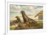 Sea Lions Playing on Shore-null-Framed Giclee Print