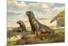 Sea Lions Playing on Shore-null-Mounted Giclee Print