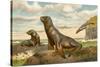 Sea Lions Playing on Shore-null-Stretched Canvas