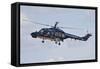 Sea Lynx Helicopter of the German Navy with 100th Anniversary Markings-null-Framed Stretched Canvas