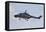 Sea Lynx Helicopter of the German Navy with 100th Anniversary Markings-null-Framed Stretched Canvas