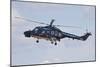 Sea Lynx Helicopter of the German Navy with 100th Anniversary Markings-null-Mounted Photographic Print