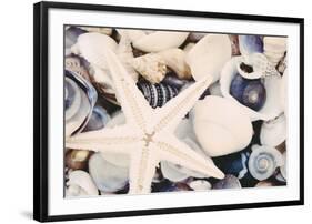 Sea Medley-John Harper-Framed Giclee Print