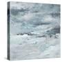 Sea Meets Storm II-Lanie Loreth-Stretched Canvas