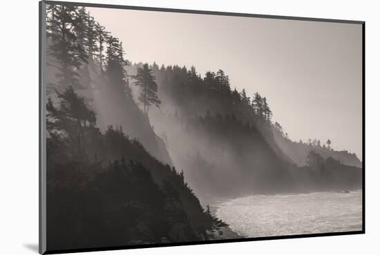 Sea mist rises along Indian Beach at Ecola State Park in Cannon Beach, Oregon, USA-Chuck Haney-Mounted Photographic Print
